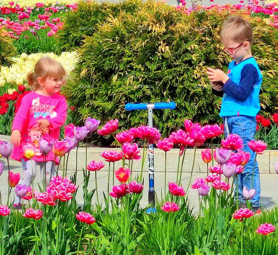 Nature. Plants. In the foreground are red tulips. Among the flowers stands a little girl in a pink dress and looks at the boy. The boy looks at the phone attentively. A scooter stands between a girl and a boy