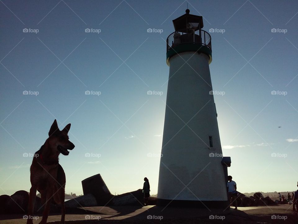 Sunset at the lighthouse. enjoying the lighthouse point with doggie