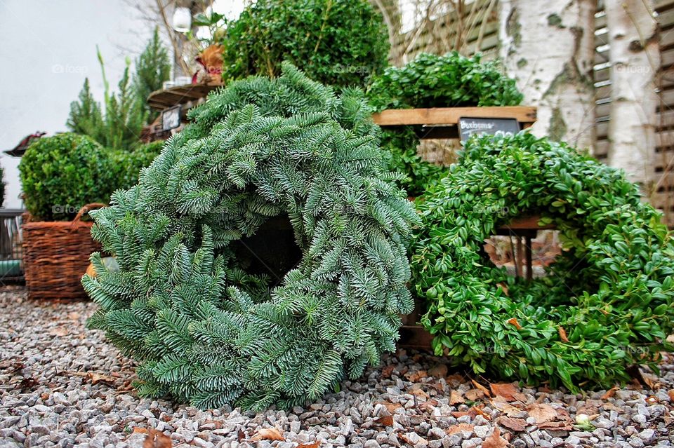 Christmas Wreath 