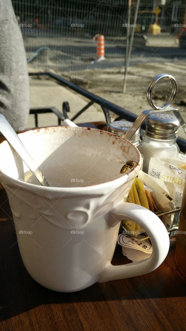 bee inside my hot chocolate cup