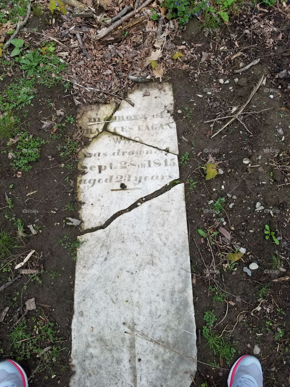Frances Eagan -Old Mt. Ida cemetery Troy NY