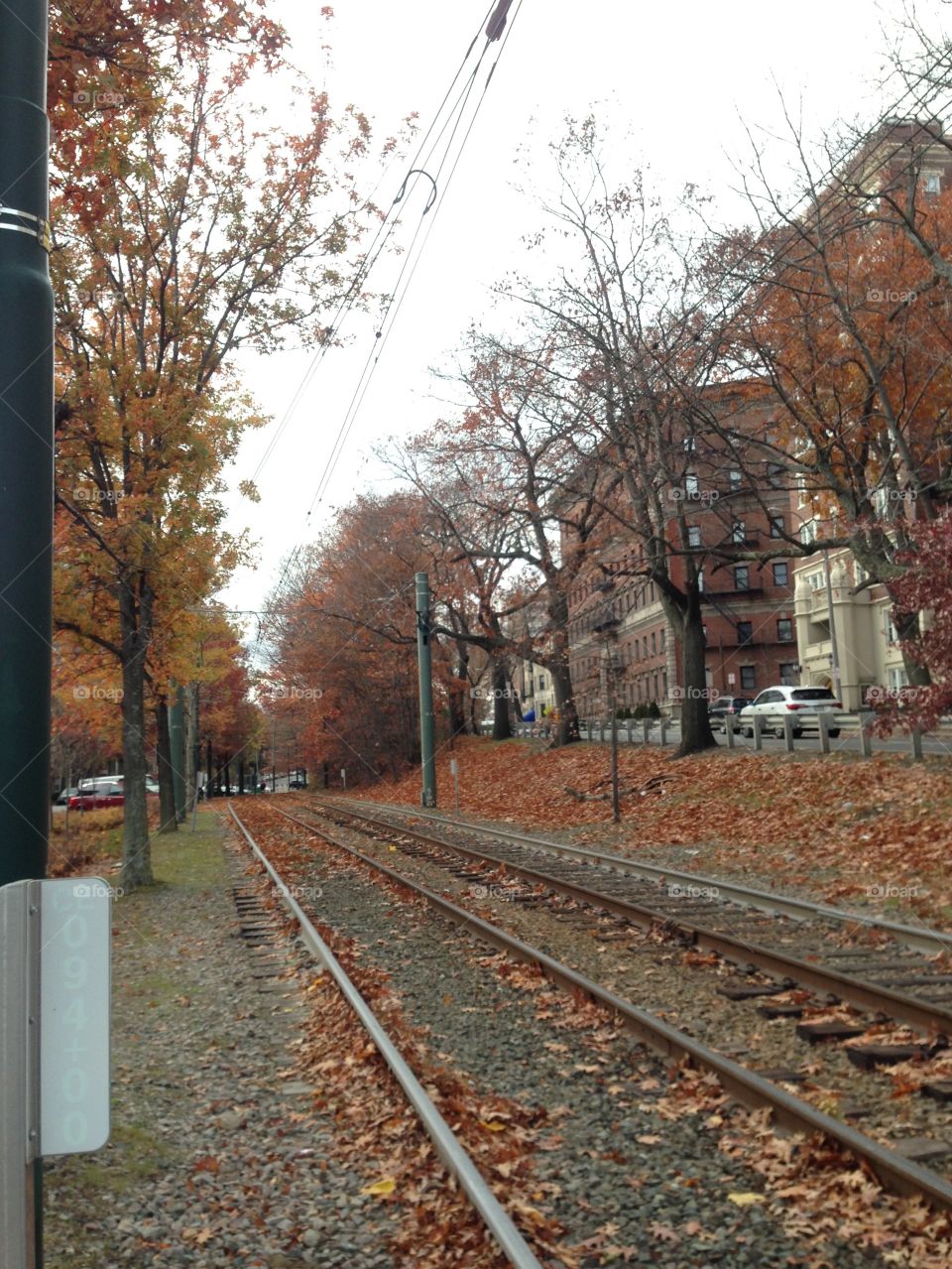 Should it has a magic door in the end of this road?