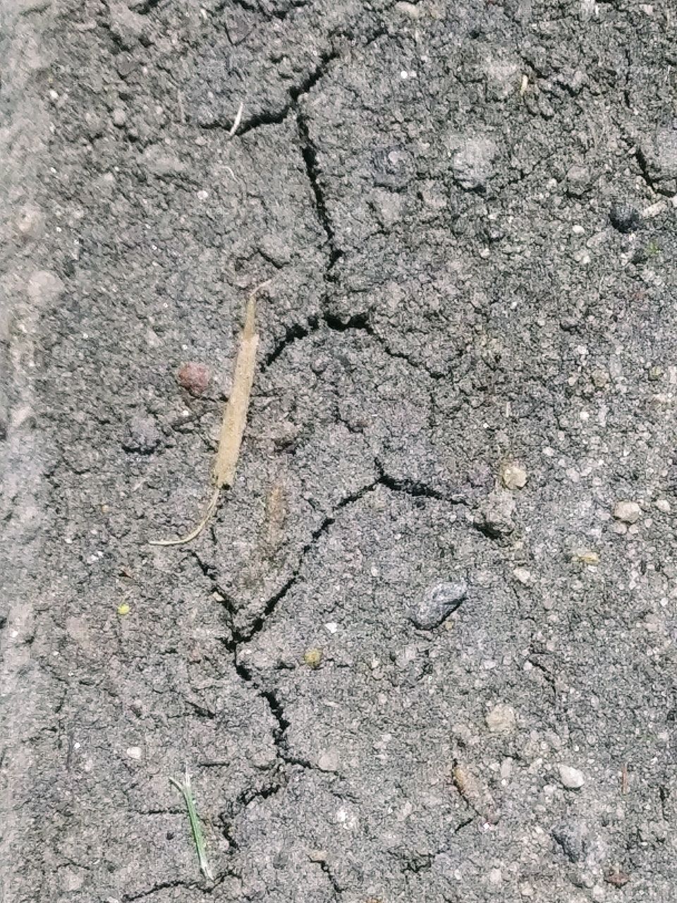 mud cracks at the curb