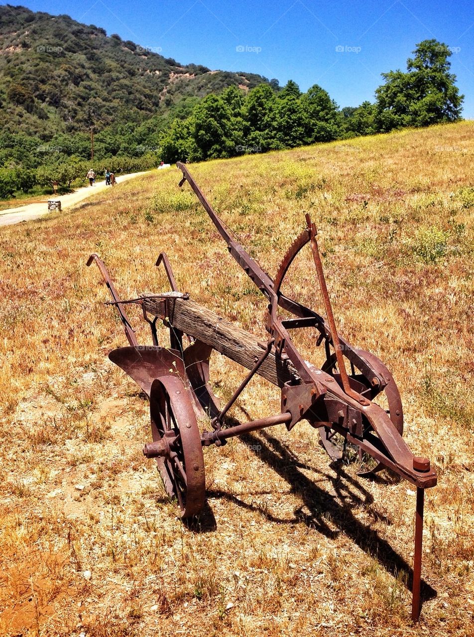 outdoors grass trees old by stevehardley7