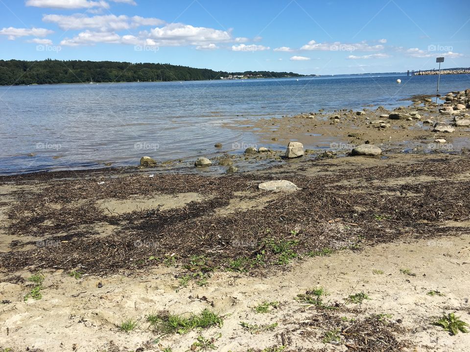 Water, Nature, Beach, No Person, Sand