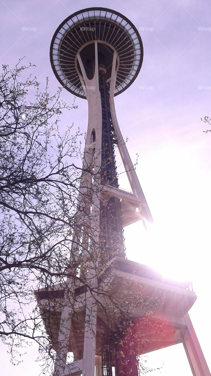 seattle from below. went to Seattle with my family and showed them the space needle