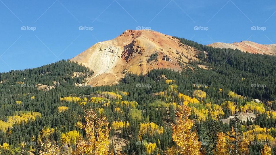 Mountain, Wood, No Person, Outdoors, Nature