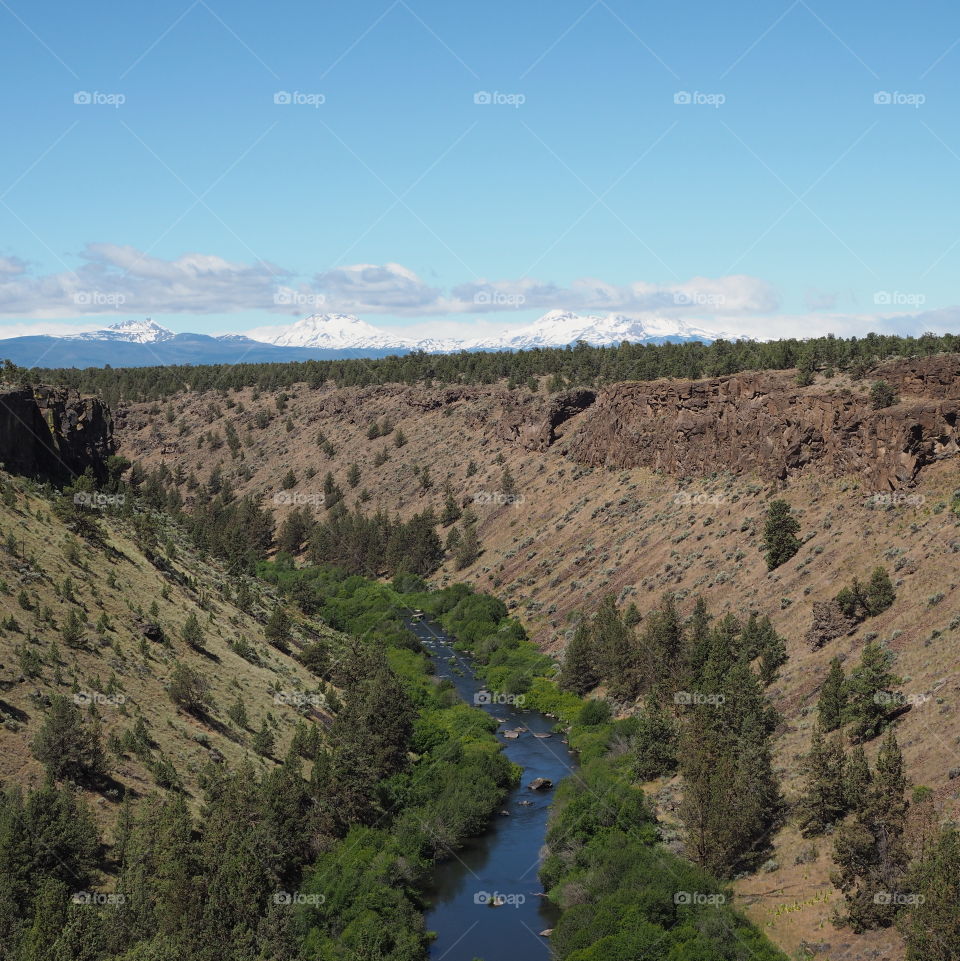 The blue waters of the Deschutes River wind through a canyon with lush green trees and bushes on a sunny day in Central Oregon. 