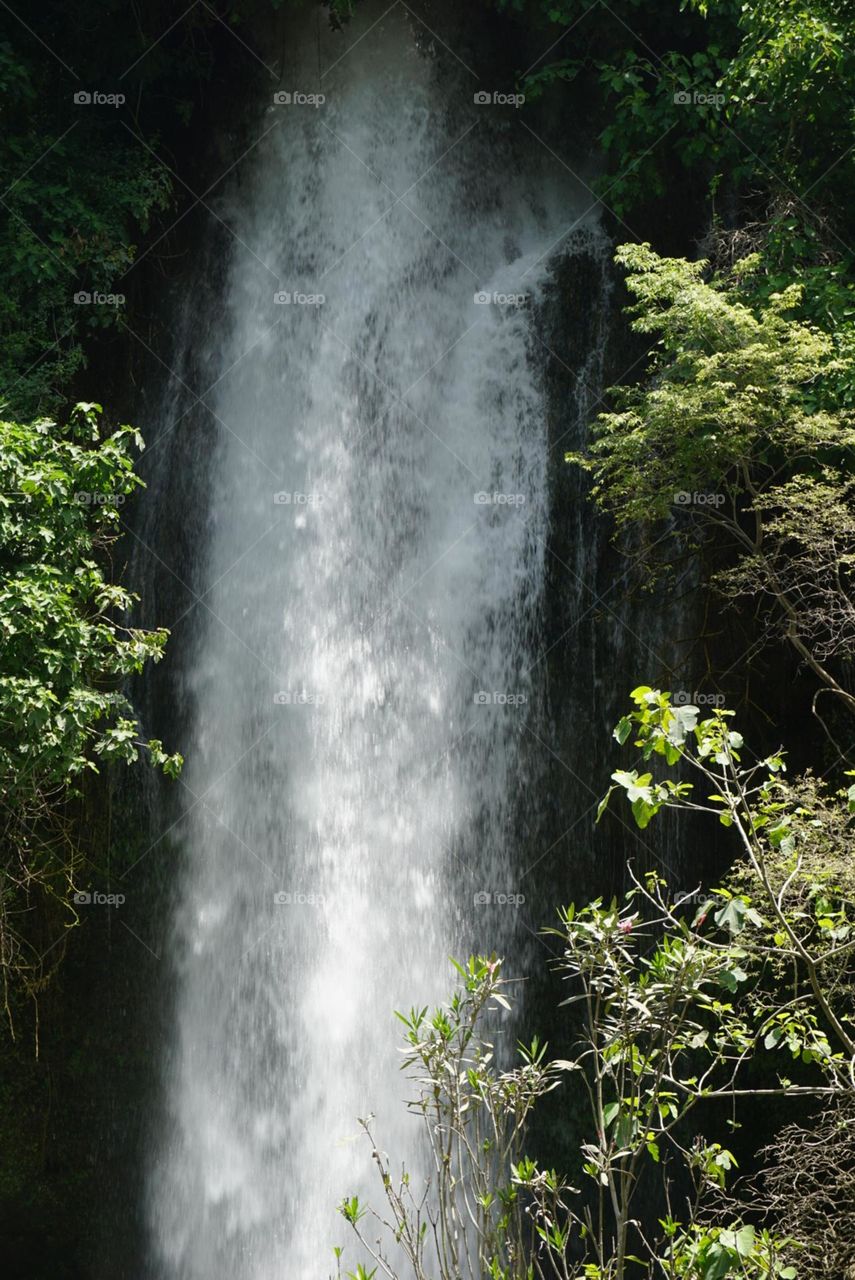 Waterfall#nature#greengrass