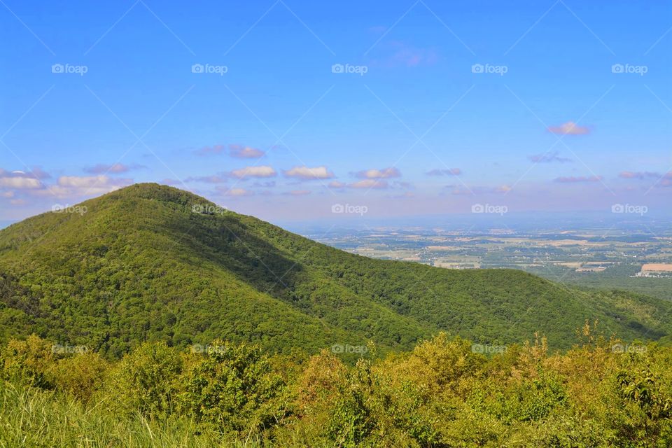 Shenandoah National Park