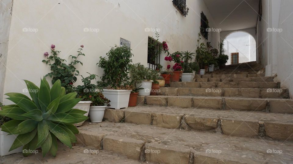 Stairs#flowers#pots