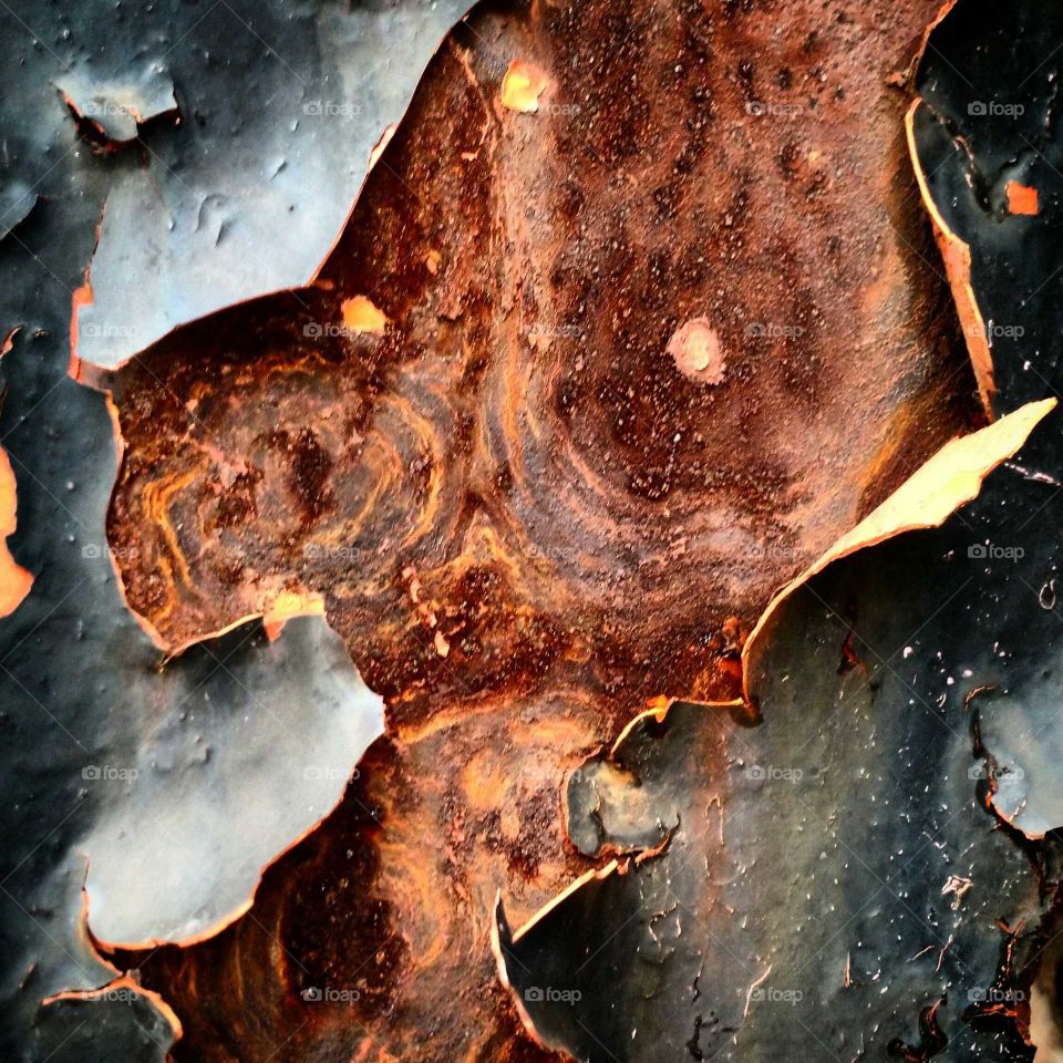 Close-up of wooden peel