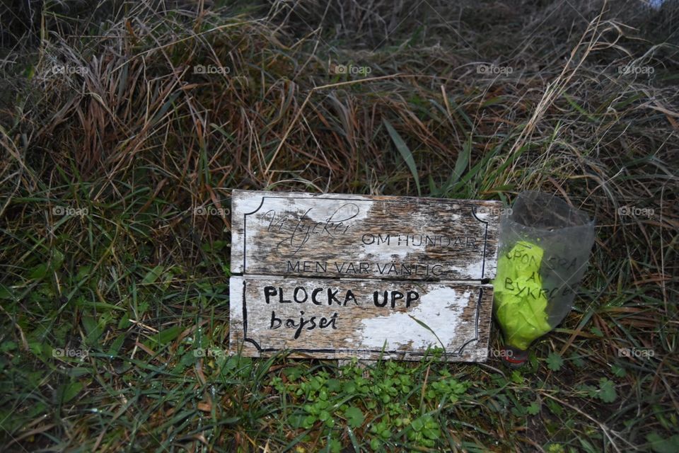 Nature, Wood, Grass, Environment, Trash