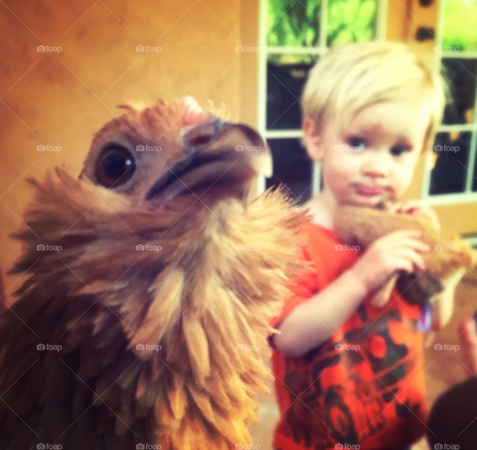 Toddler and pet chicken portrait
