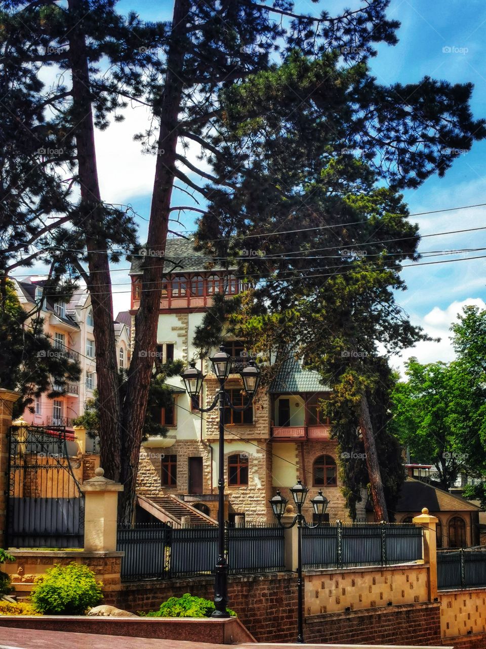 City town street outdoor plant flower beauty nature greens wild street day sun building way road decor decoration design view