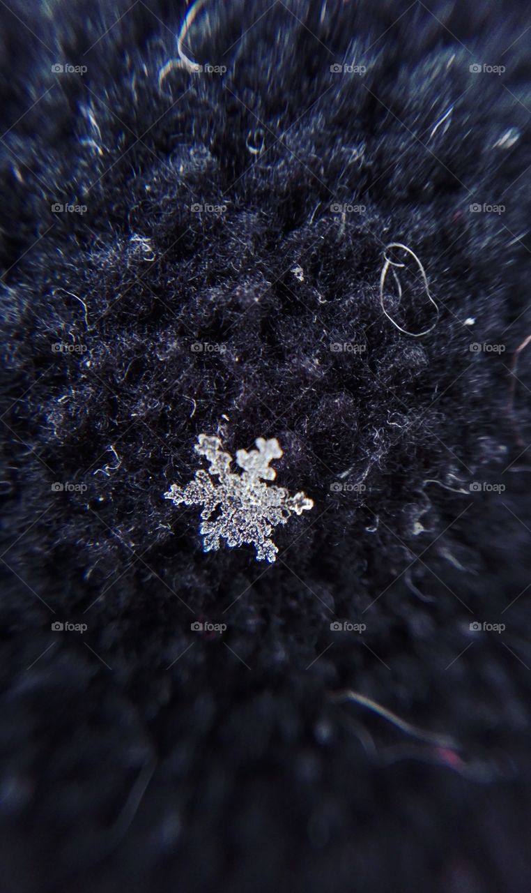 Macro snowflake