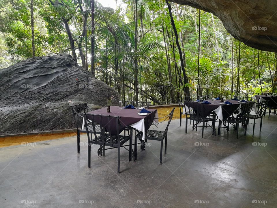 Dinning outside with nature.