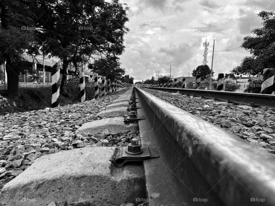 Old screws of a train tracks forming a pattern heading to the horizon of it with stripped poles and trees around.