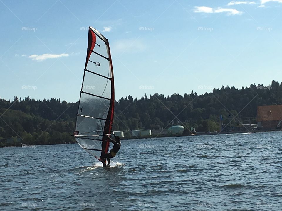 Man windsurfing, ocean harbour