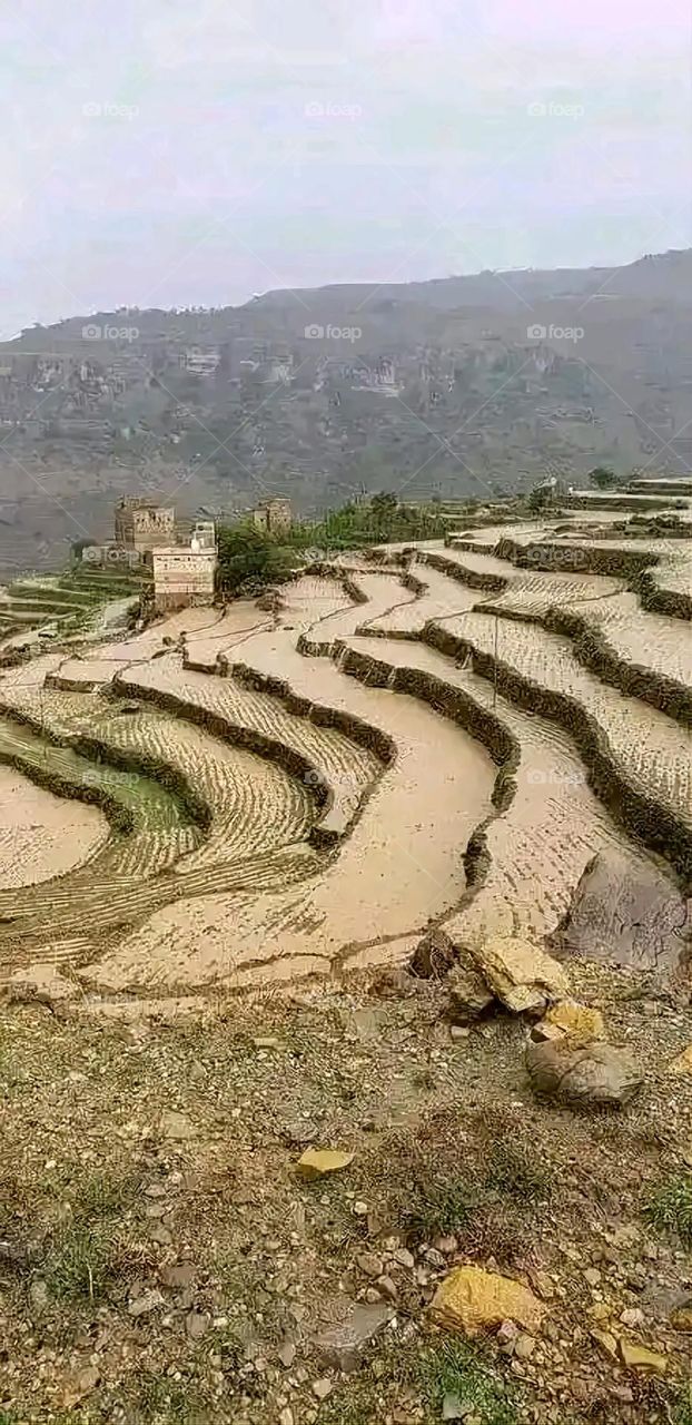 Glory be to God, the magnificent and picturesque view and the natural green trees are a view that is nothing more wonderful than it