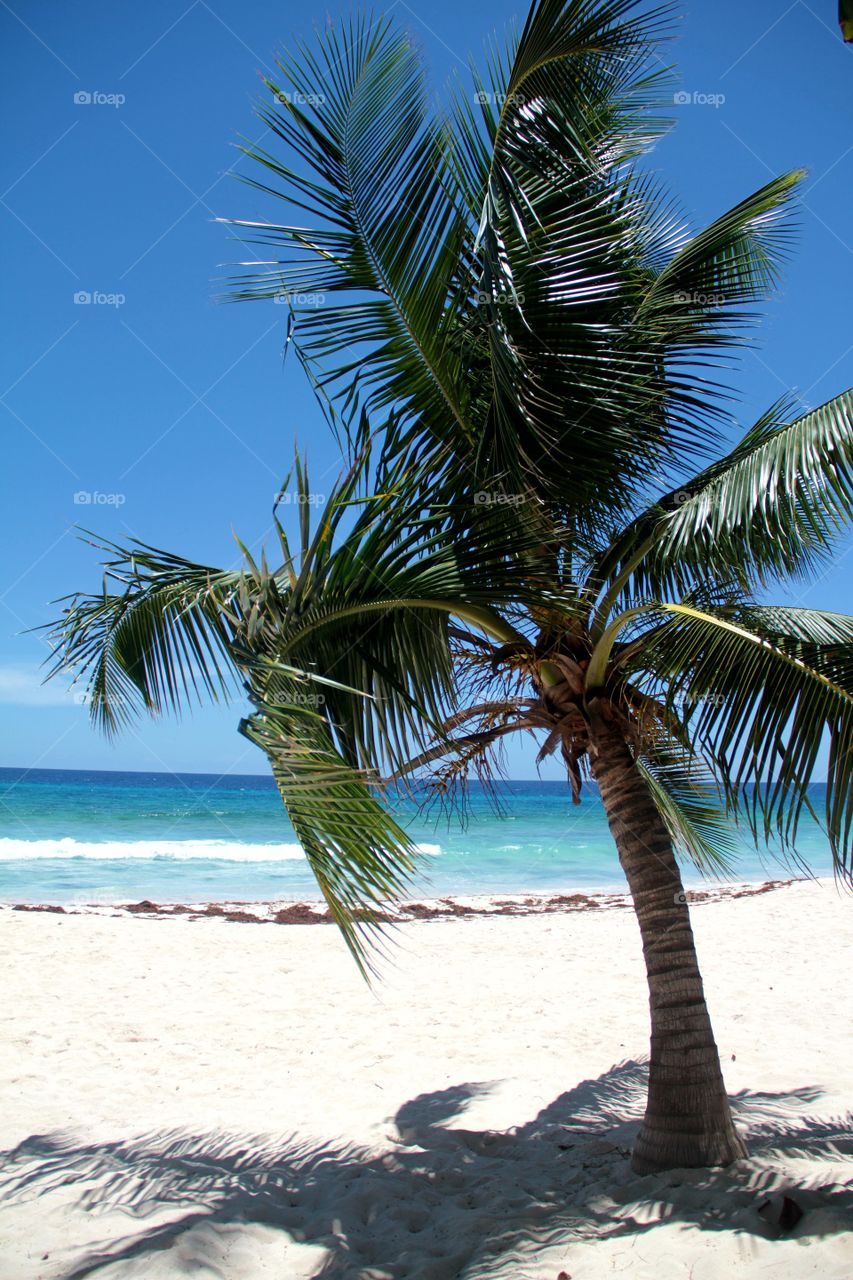 Coastal beach of Oistins Barbados