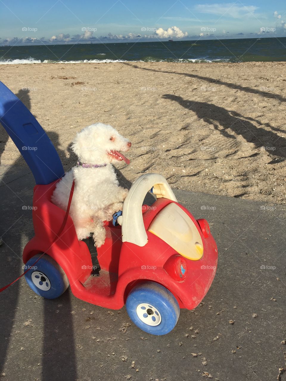 Beach, Child, Vehicle, Toy, Fun