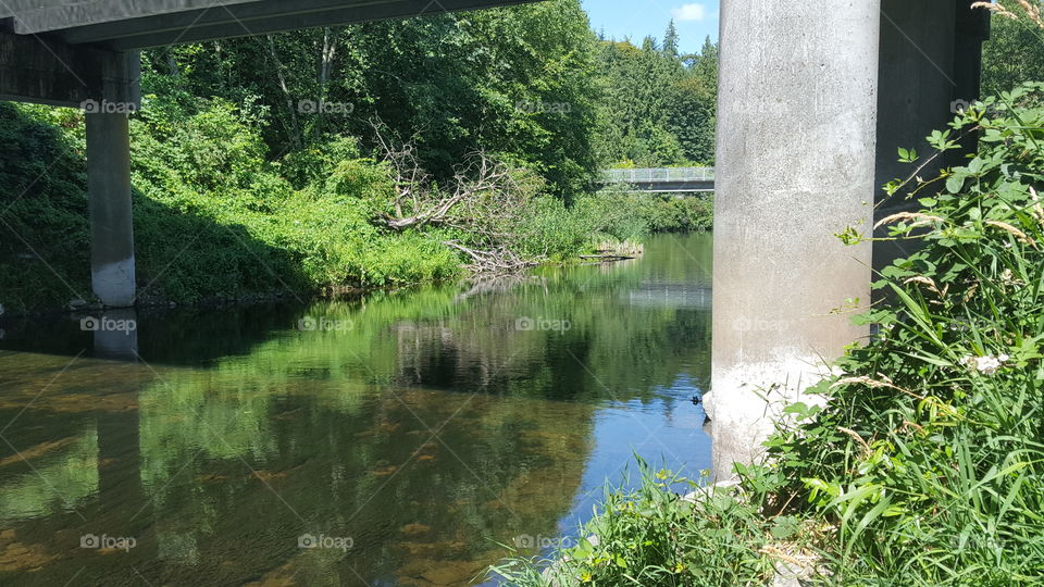 Slough bridge