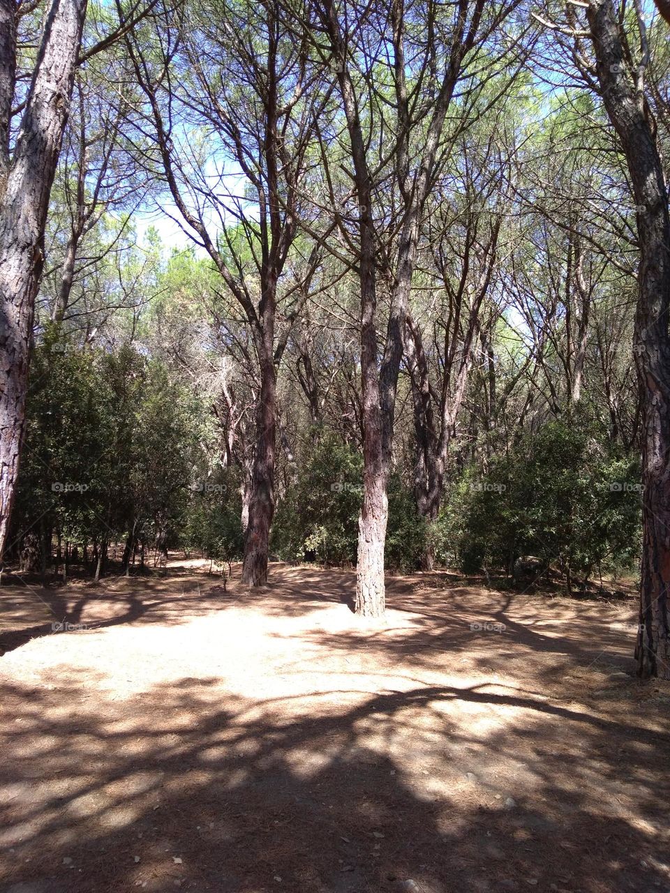 Best of 2021: Nature