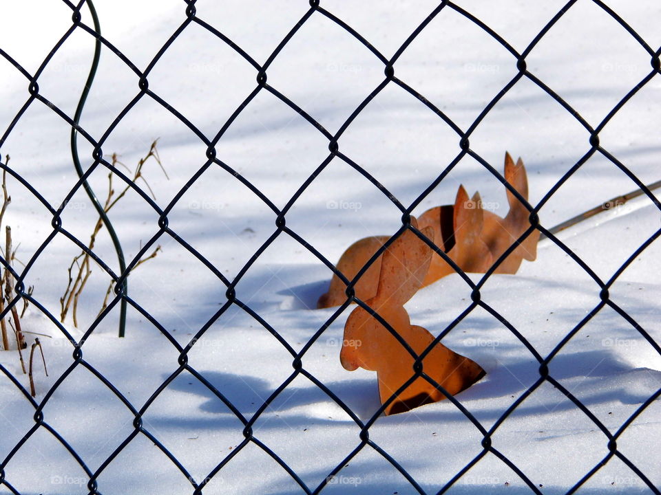 good view in the garden and beautiful nature