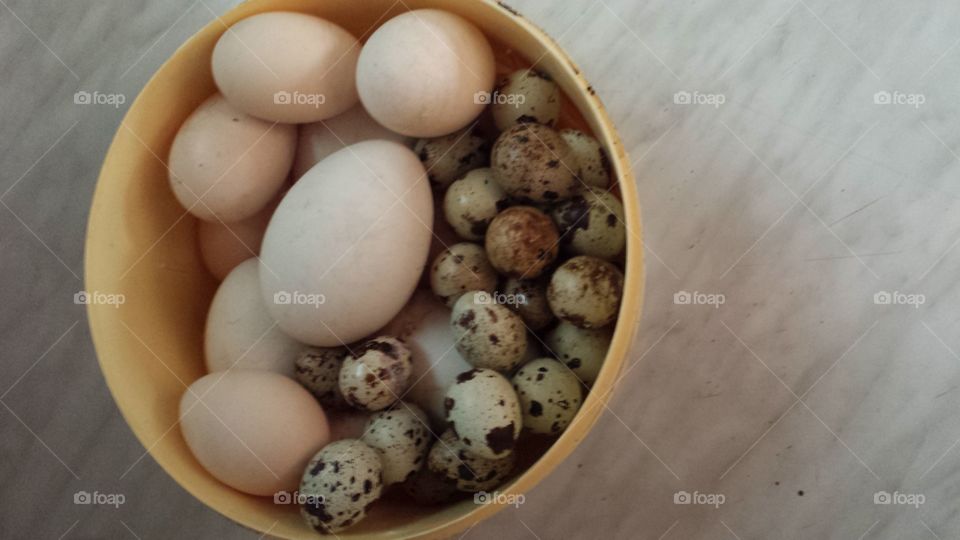 Food, Egg, No Person, Bowl, Breakfast