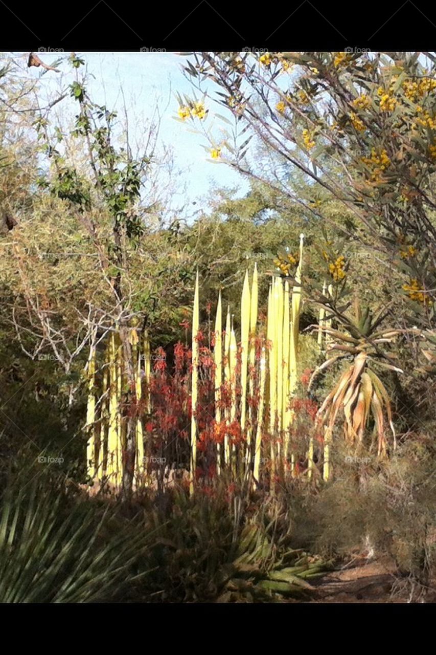 Art, glass, desert, cactus