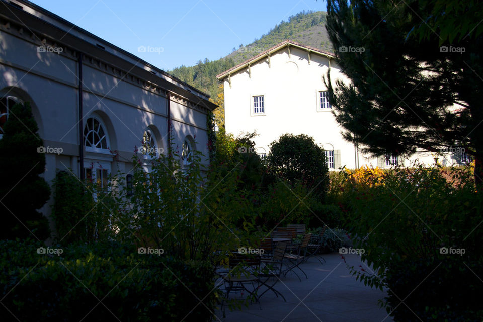 THE VINYARD AT SONOMA VALLEY CALIFORNIA USA