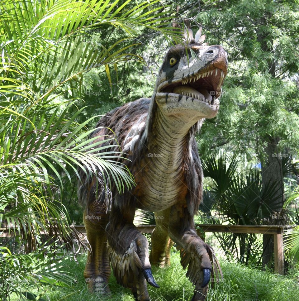 Unique type of dinosaur in natural surroundings at zoo. 