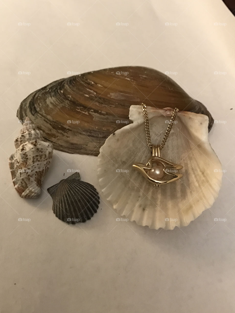 Pearl necklace with shells