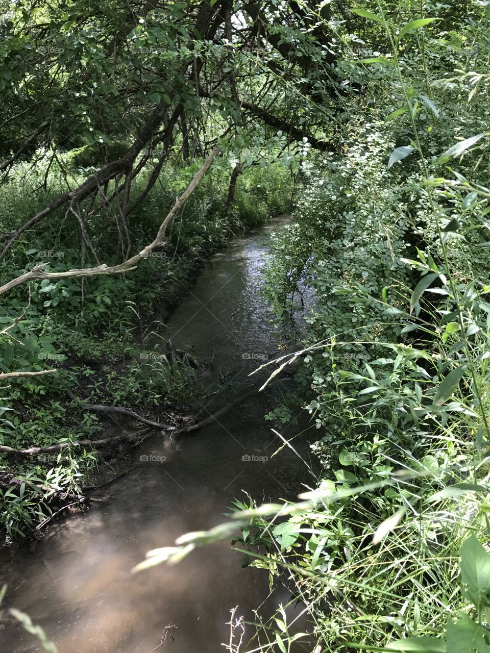 Calming creek