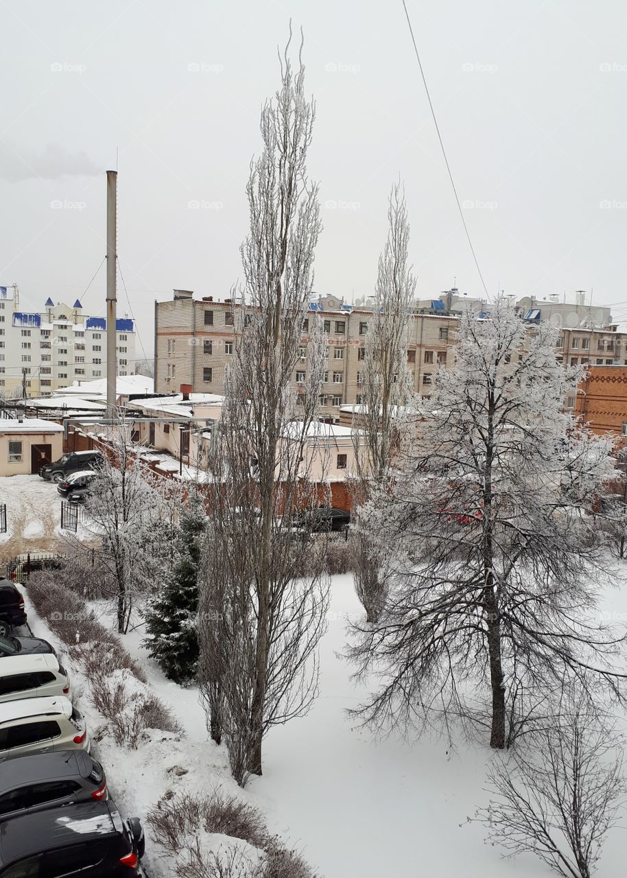 Witer landscape courtyard of the house