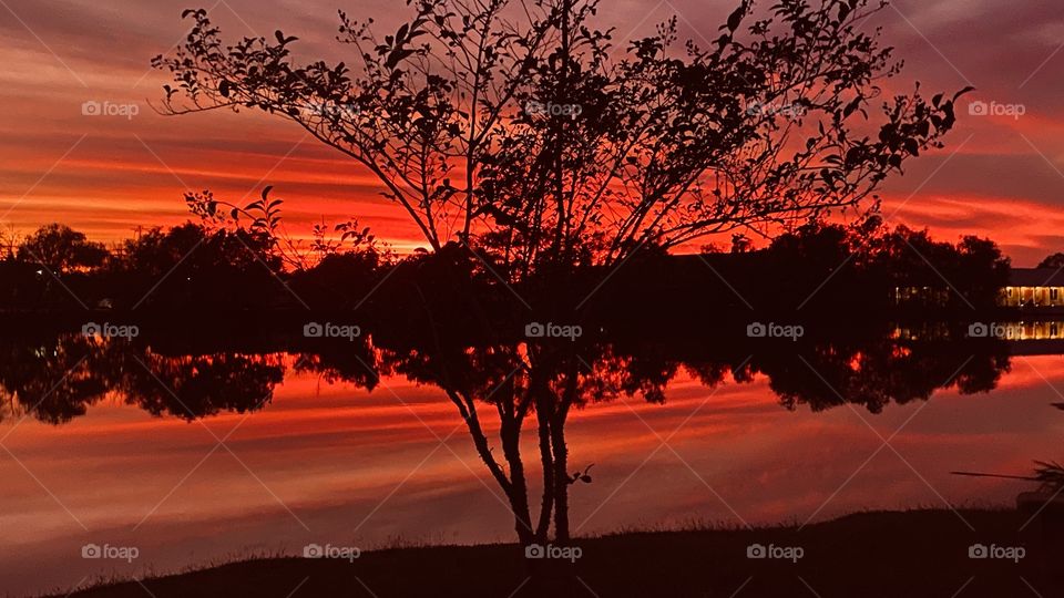 At a moments notice sky above bring pinks pastels and within A short period of time the sky was painted Red. 