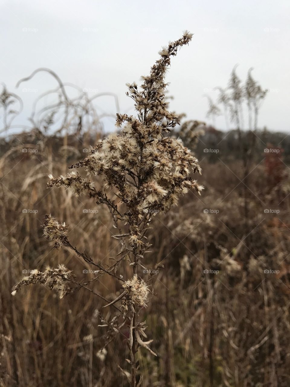 pretty in its own way