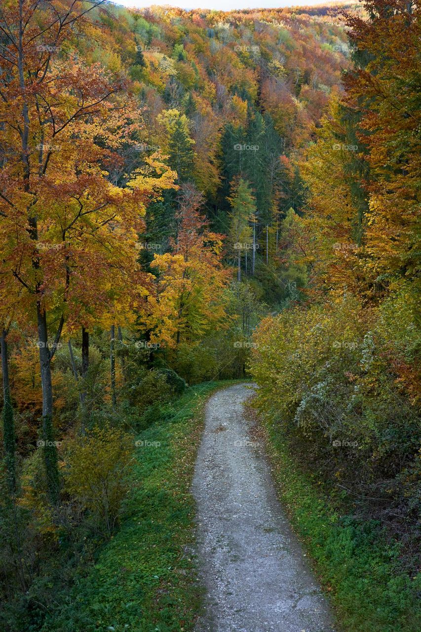 Autumn in the mountains 