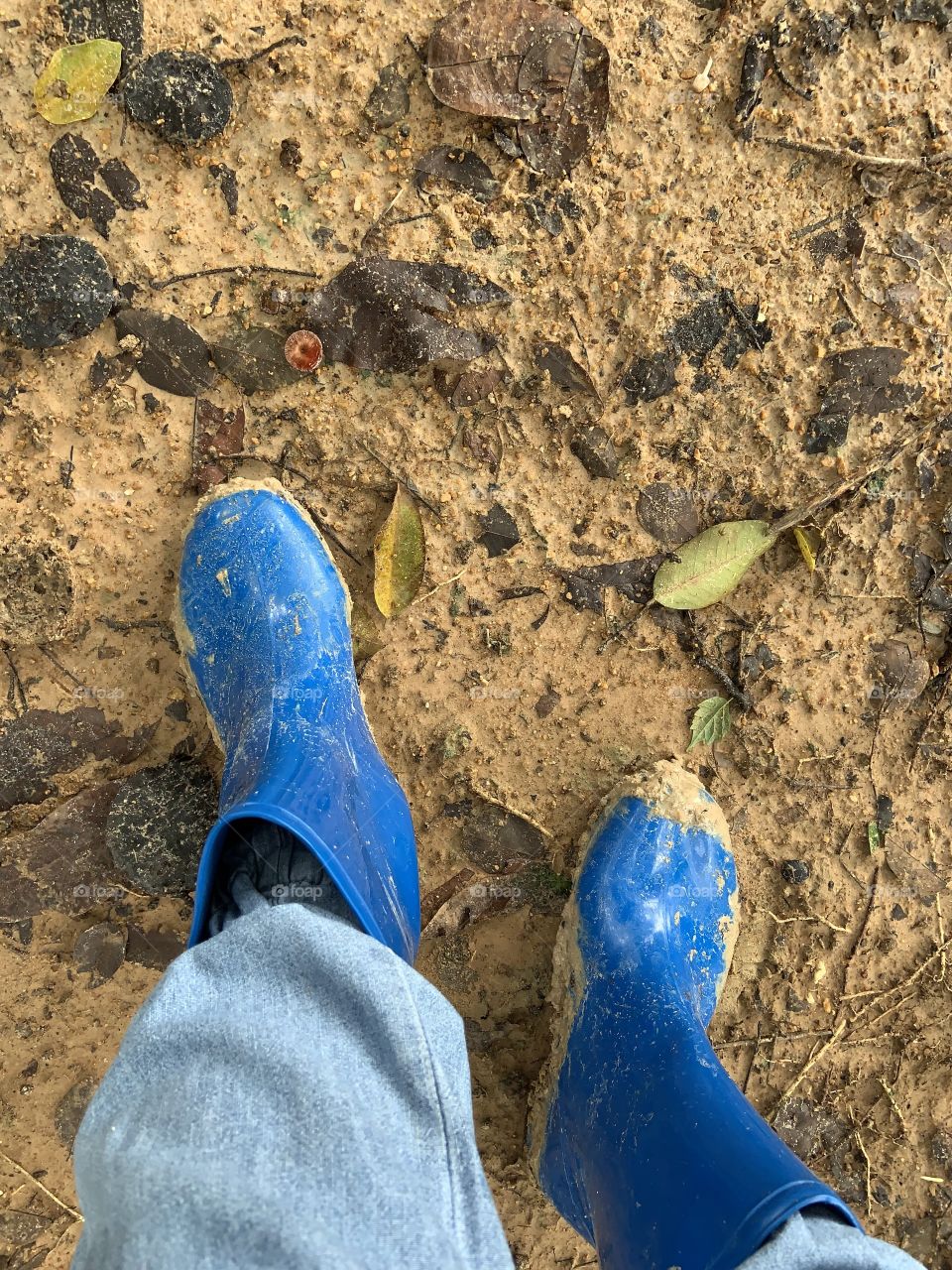 This is why I love my job, Countryside (Thailand)