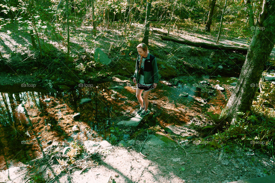 Wood, Nature, Water, Tree, Outdoors