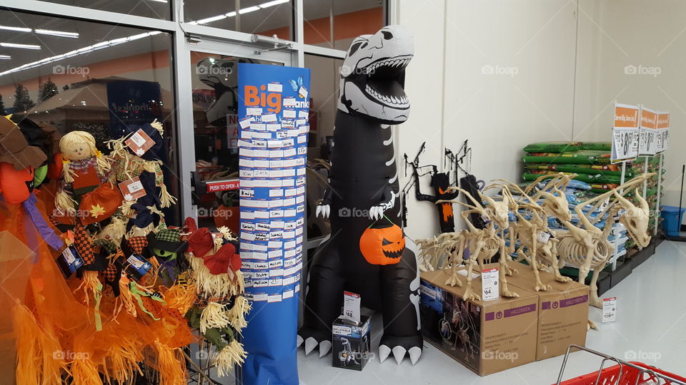 Was at the store to buy candy and saw all this cool looking Halloween outside decor along with some fall decor and jus had to take a picture of it. The dragon skeletons are new outside decor for Halloween.
