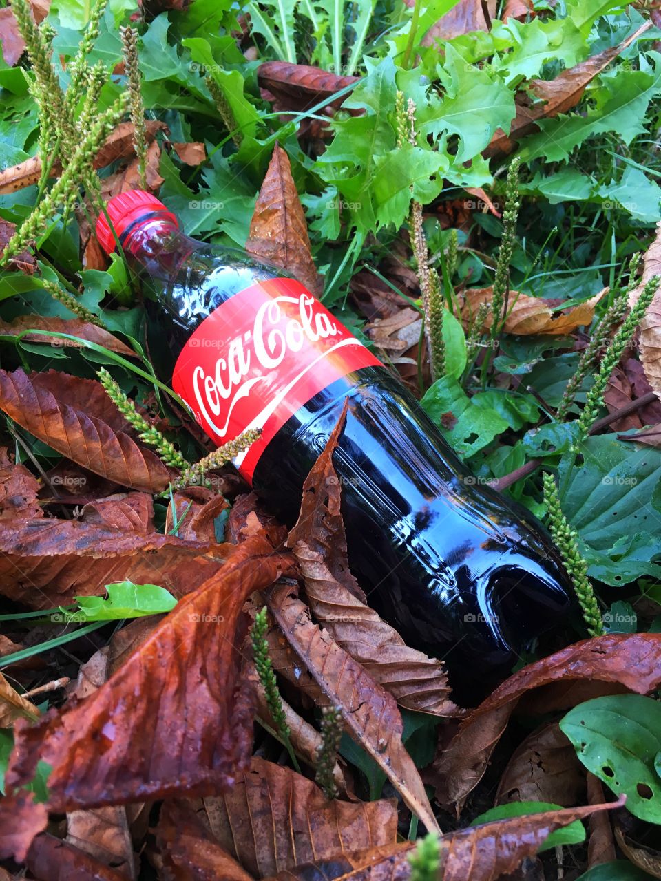 Coca cola in the fall