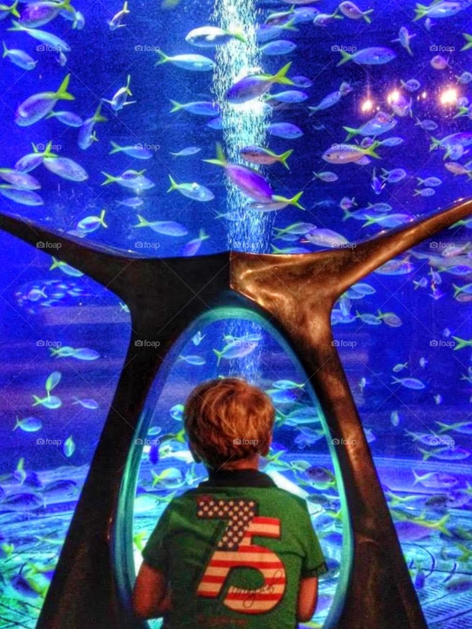 Aquarium