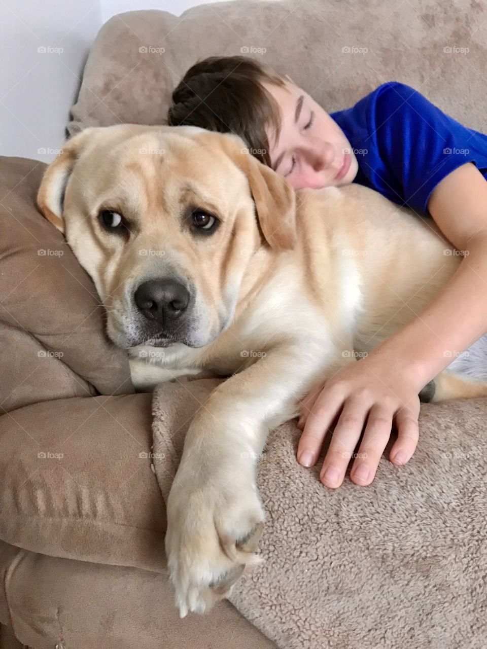 The love of a dog, a boy and his yellow Labrador 