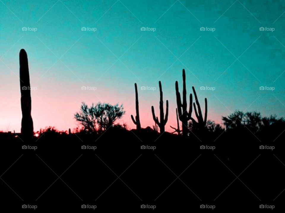 Evening over the desert