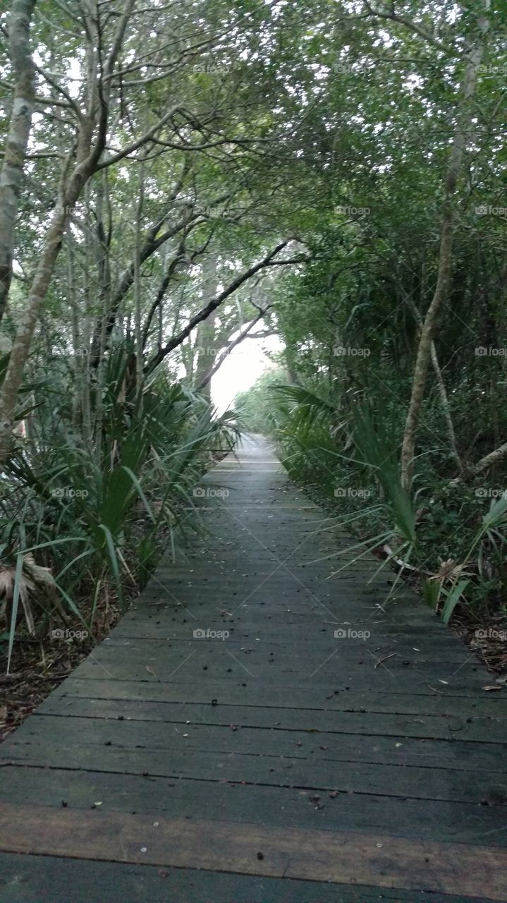 walkway on BALD HEAD Island