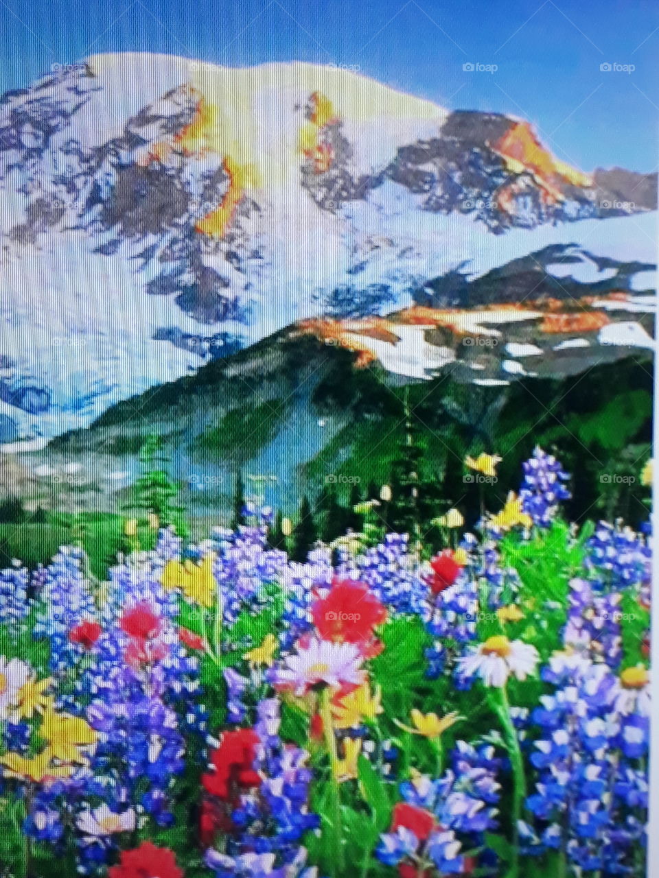 paisagem com lindas flores a frete motanhas congelada no fundo