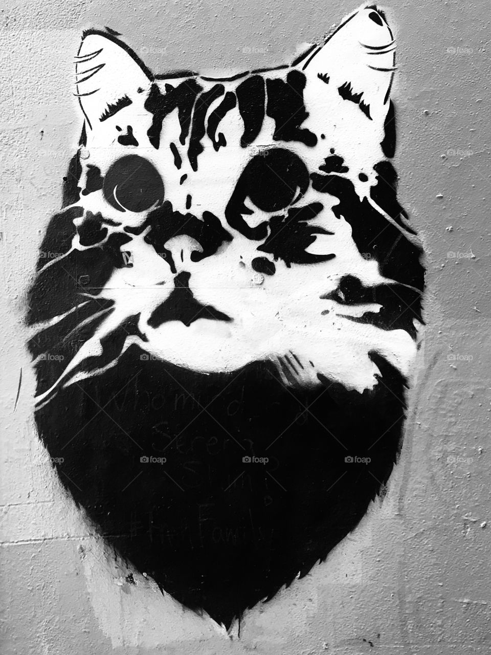Cat graffiti 
