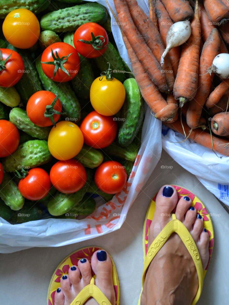 vegetables harvest and female legs top view